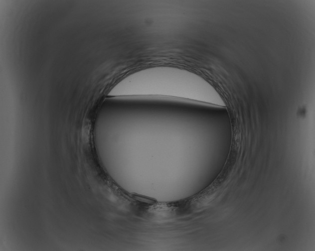 X0000090410231200707130932