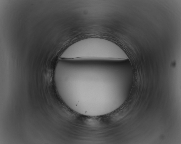 X0000090410232200707130932