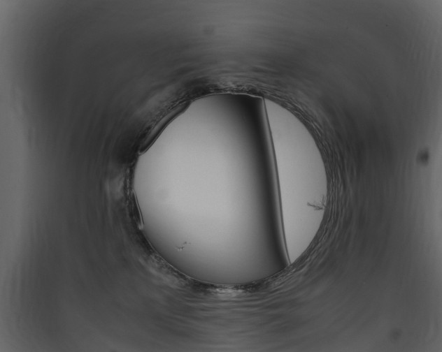 X0000090410233200707130932
