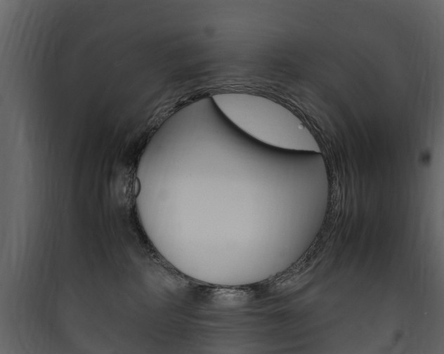 X0000090410234200707130932