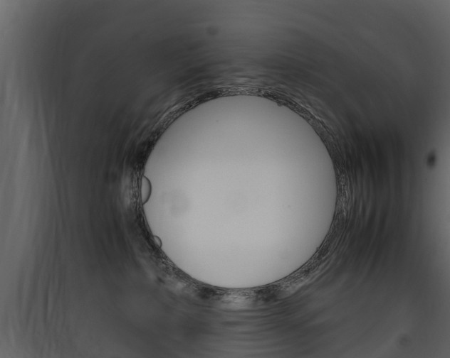 X0000090410236200707130932