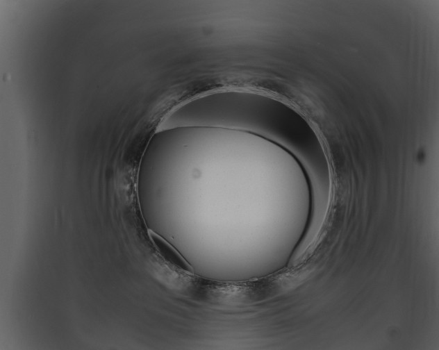 X0000090410237200707130932