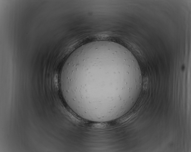 X0000090410238200707130932