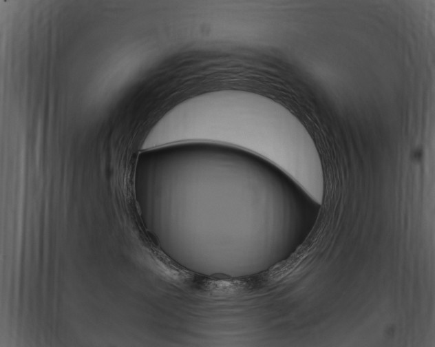 X0000090410239200707130932