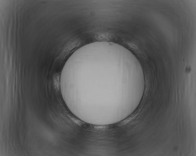 X0000090410240200707130932