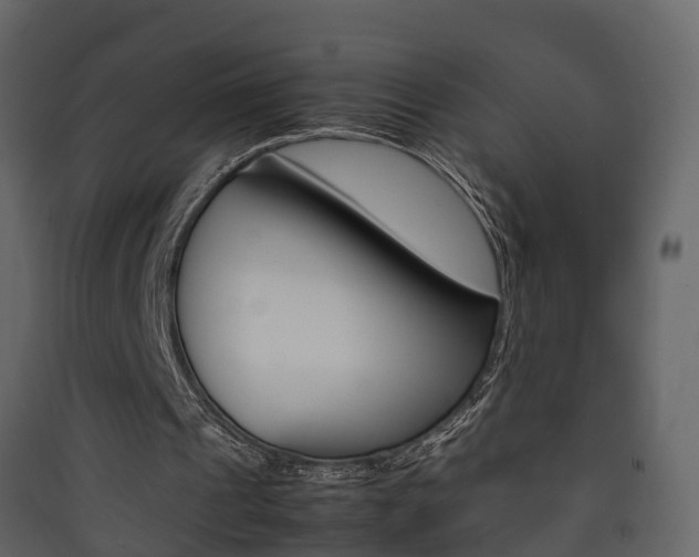 X0000090410241200707130931