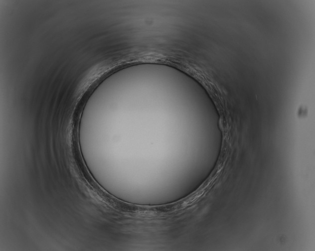 X0000090410242200707130931