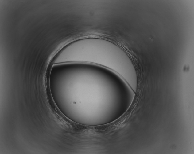 X0000090410244200707130931