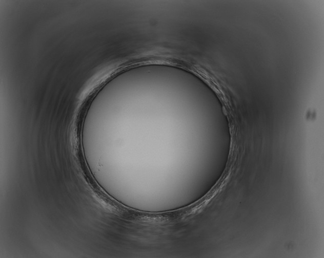 X0000090410245200707130931