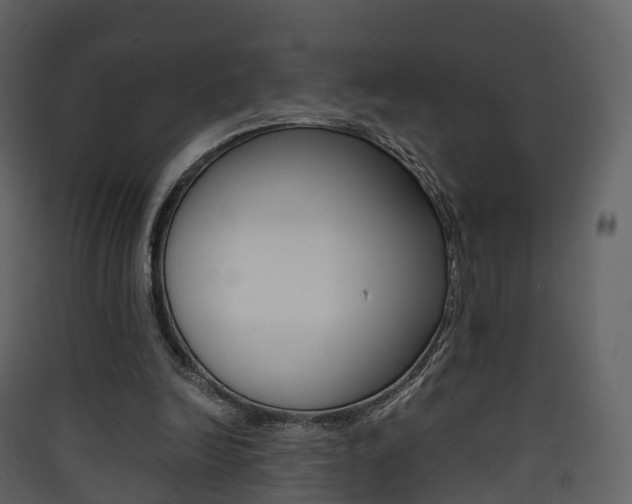 X0000090410246200707130931