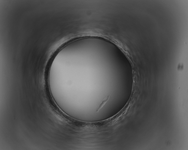 X0000090410248200707130931