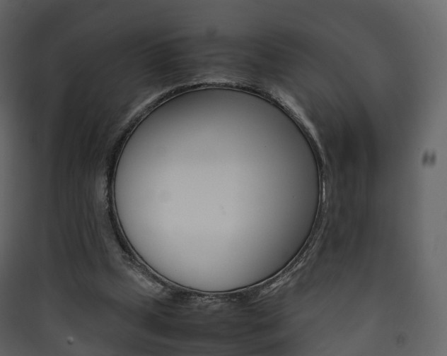 X0000090410249200707130931