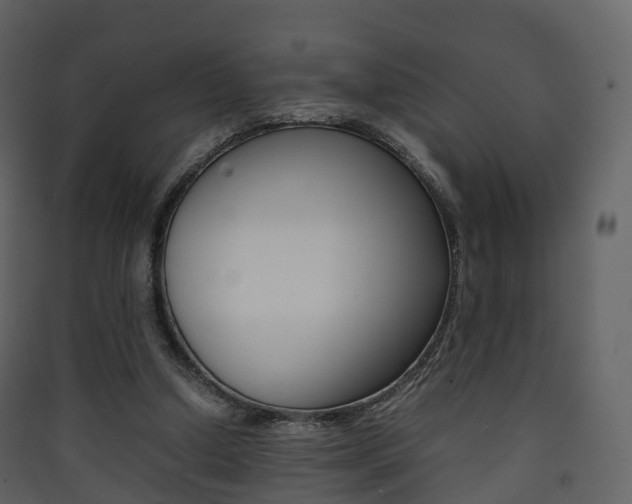 X0000090410250200707130931