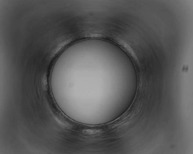 X0000090410251200707130931