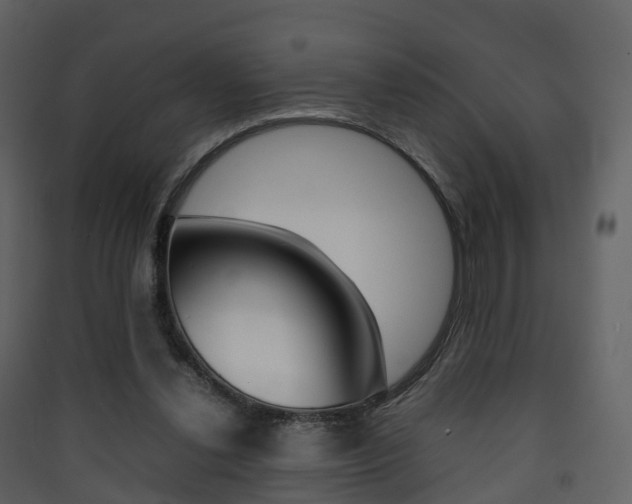 X0000090410252200707130931