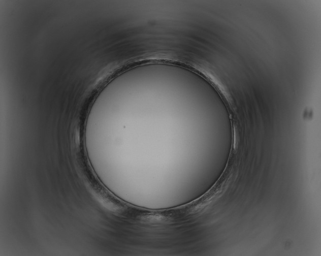 X0000090410253200707130931