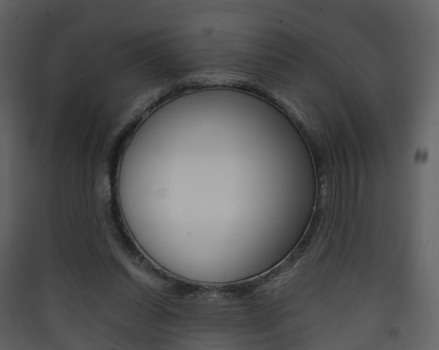 X0000090410254200707130931
