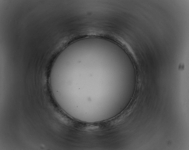 X0000090410257200707130931
