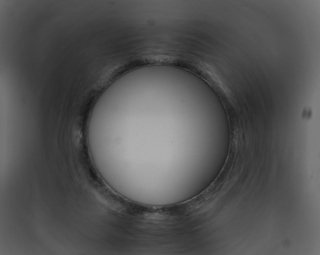 X0000090410259200707130931