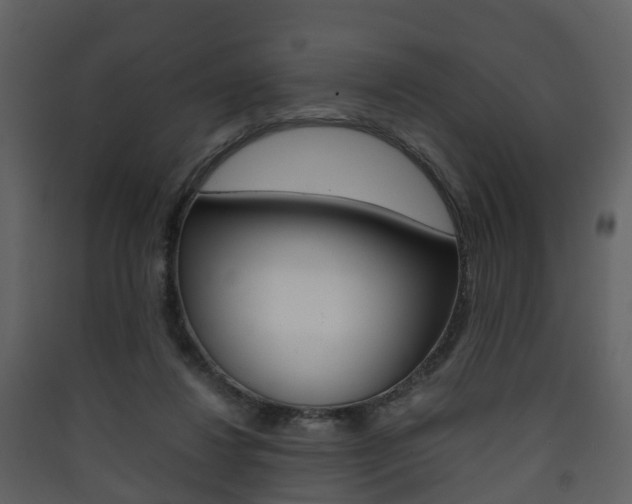 X0000090410260200707130931