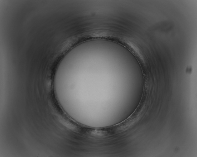 X0000090410261200707130931