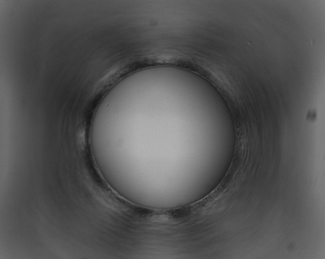 X0000090410262200707130931
