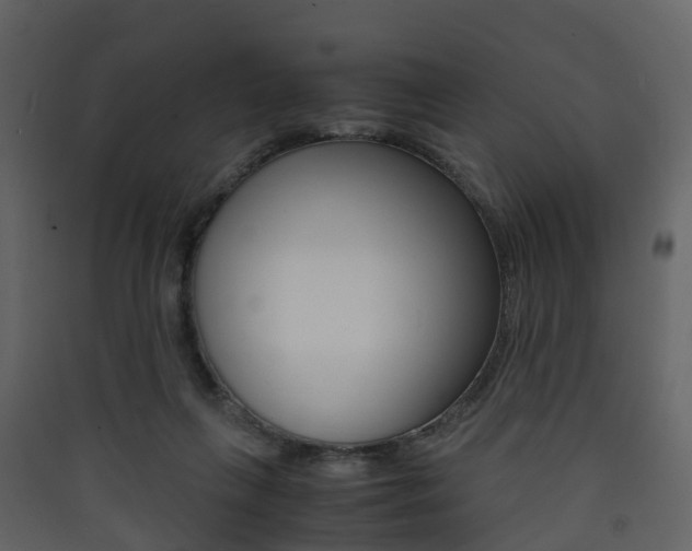 X0000090410263200707130931
