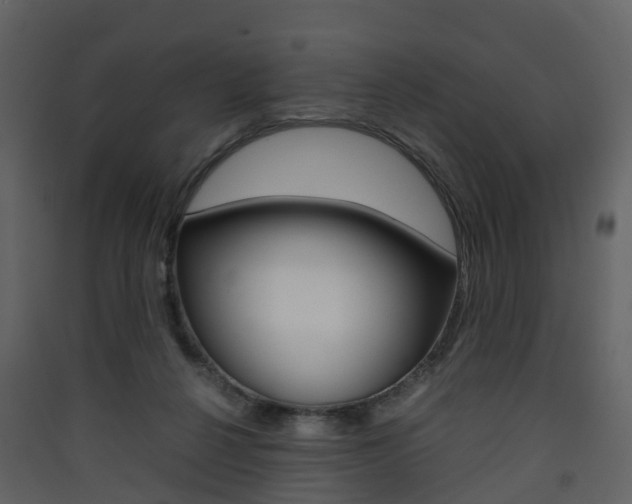 X0000090410264200707130931