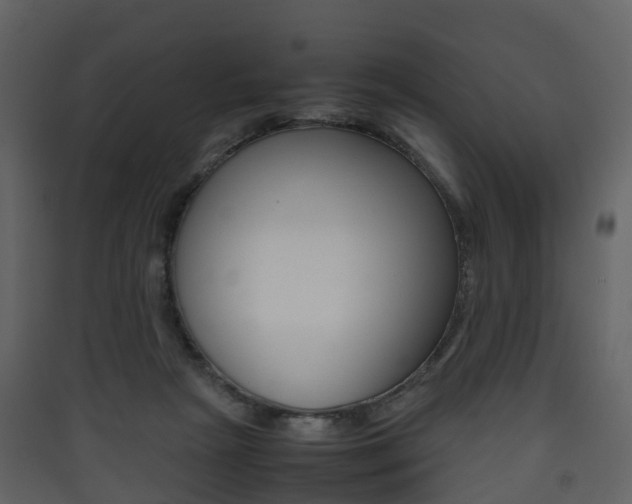 X0000090410265200707130931
