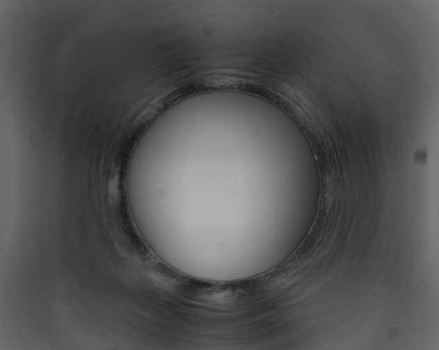 X0000090410267200707130931