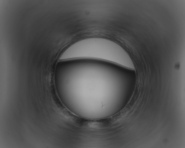 X0000090410268200707130931