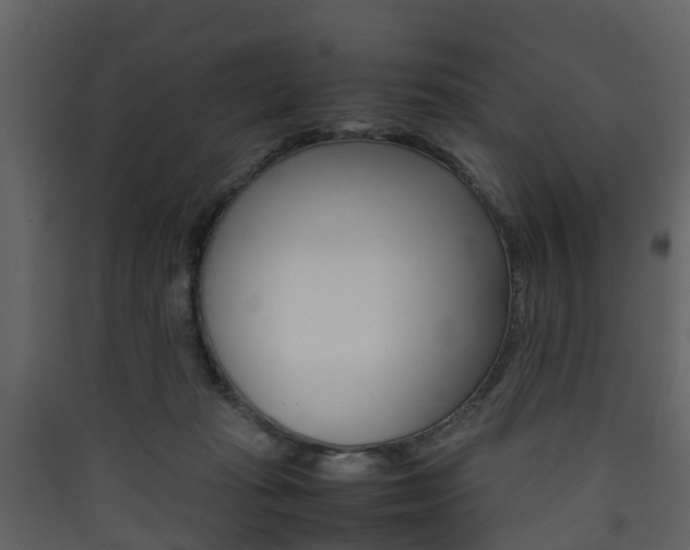 X0000090410269200707130931