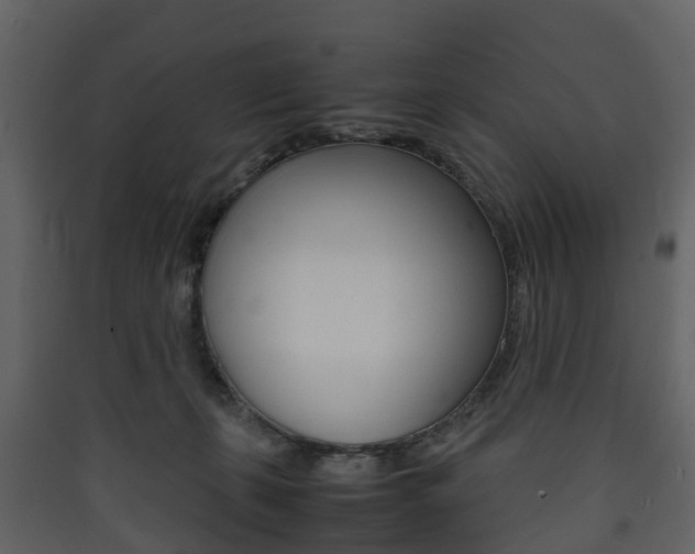 X0000090410271200707130931