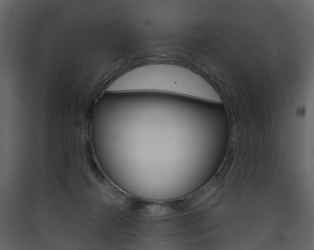 X0000090410272200707130931
