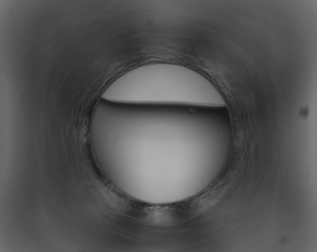 X0000090410273200707130931