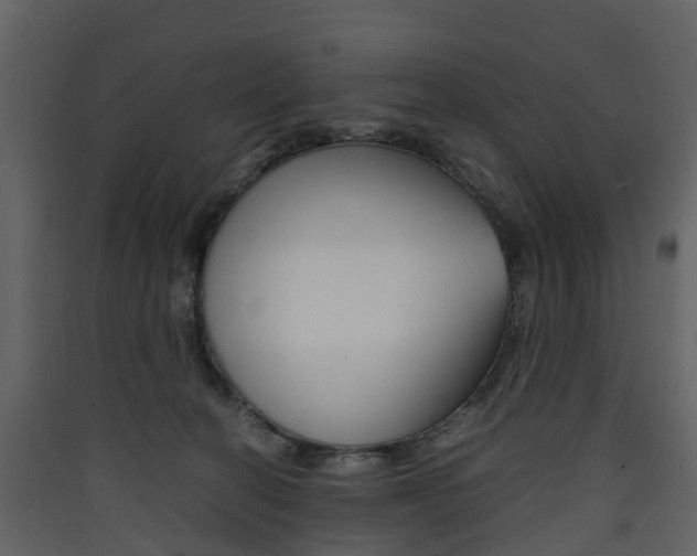 X0000090410274200707130931