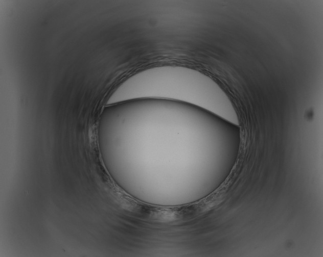 X0000090410276200707130931