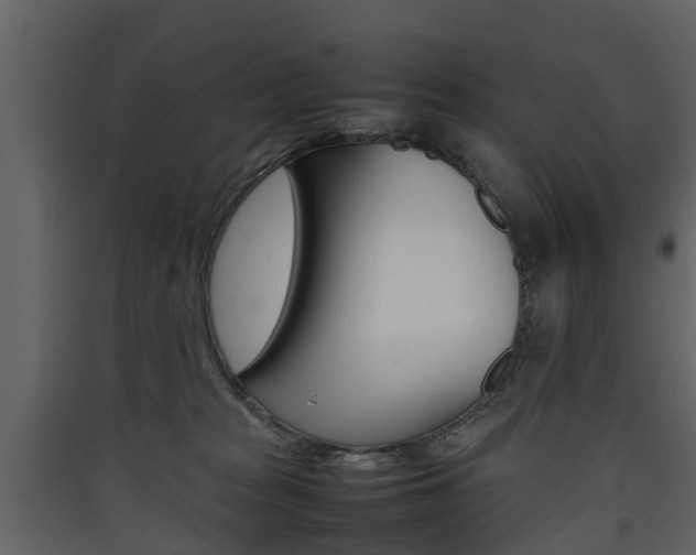 X0000090410277200707130931
