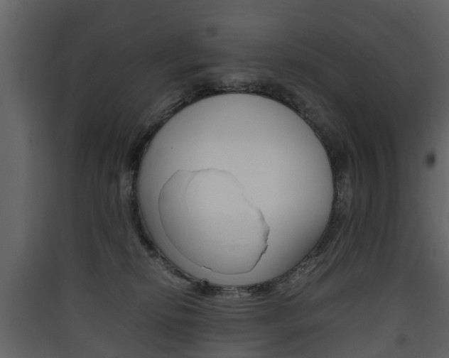 X0000090410278200707130931