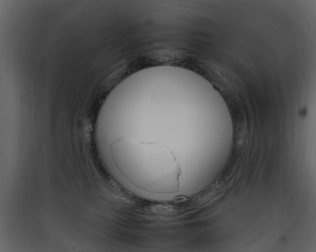 X0000090410279200707130931