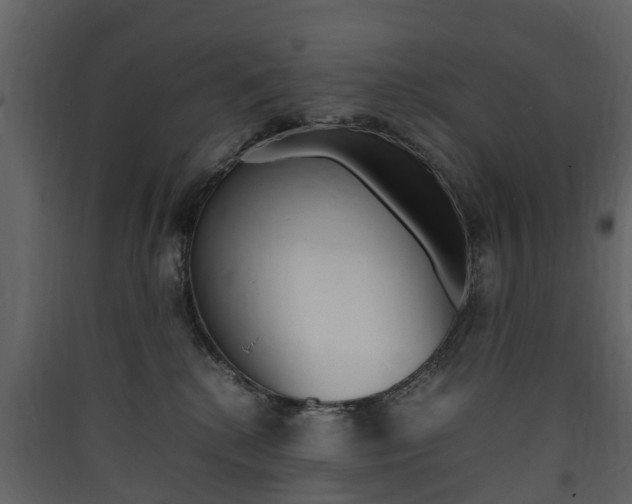 X0000090410280200707130932