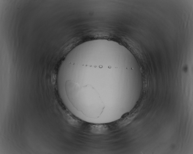 X0000090410281200707130932