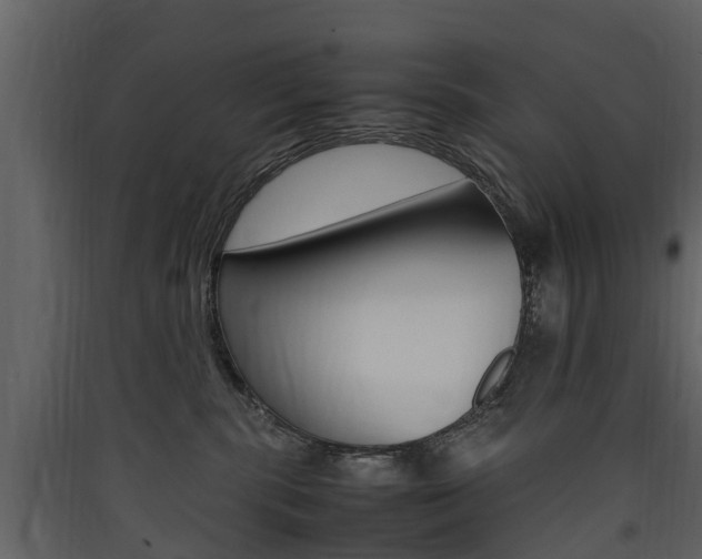 X0000090410283200707130932