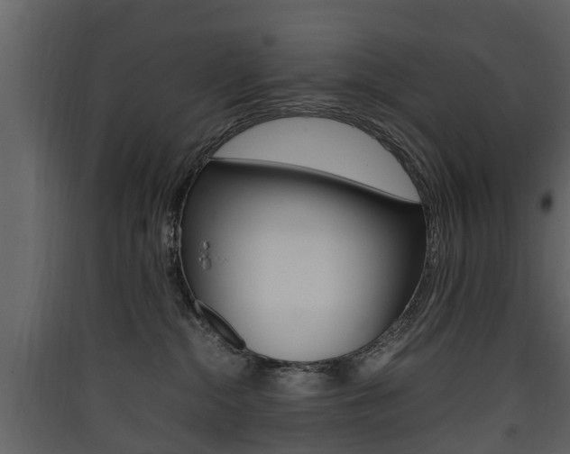 X0000090410284200707130932