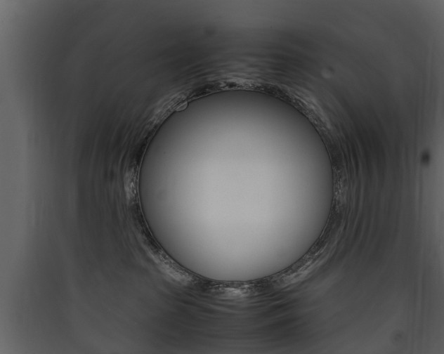 X0000090410285200707130932