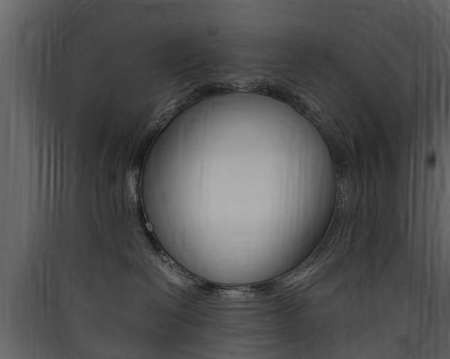 X0000090410286200707130932