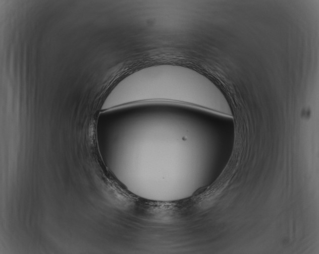 X0000090410288200707130932
