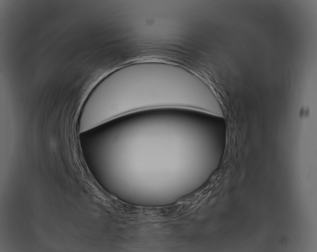 X0000090410289200707130931