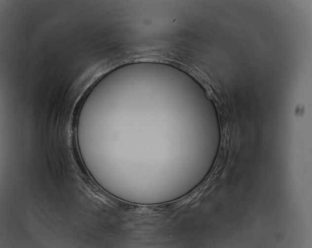 X0000090410290200707130931