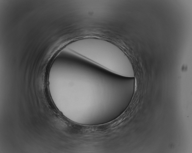 X0000090410291200707130931